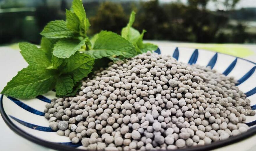 Simple Superphosphate (SSP)