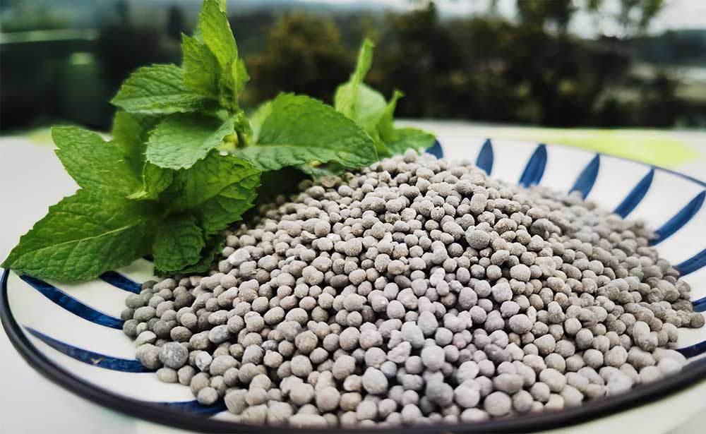 Simple Superphosphate (SSP)